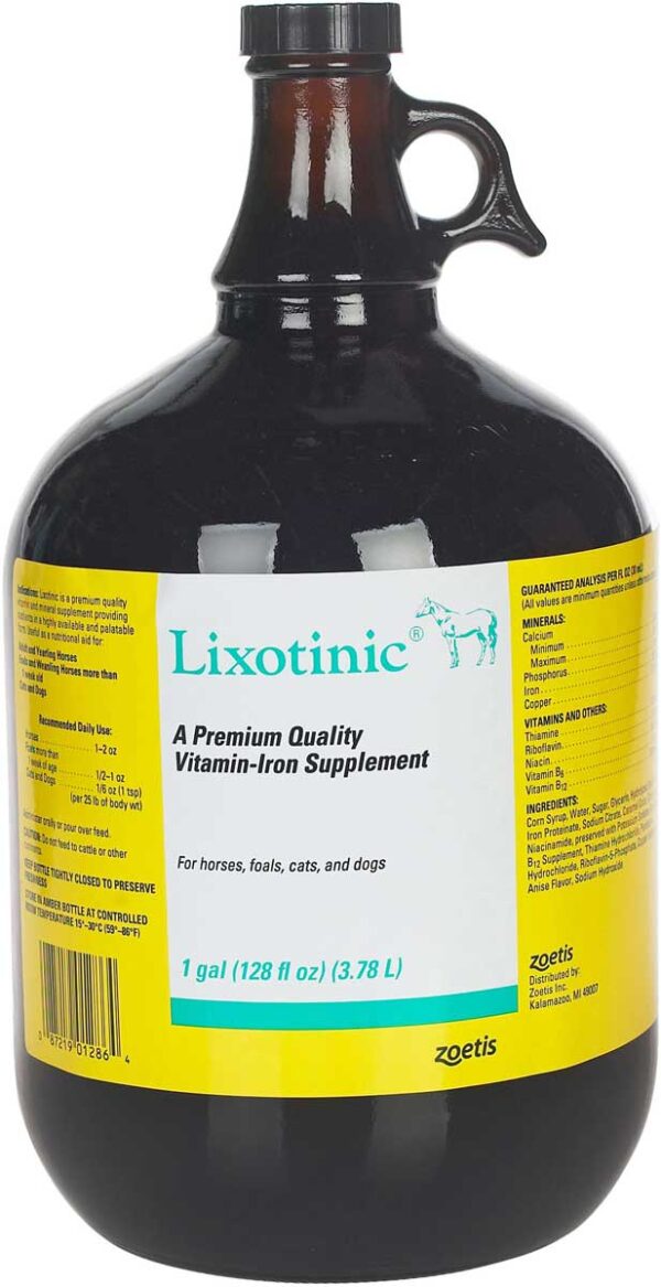 Lixotinic Vitamin-Iron Supplement